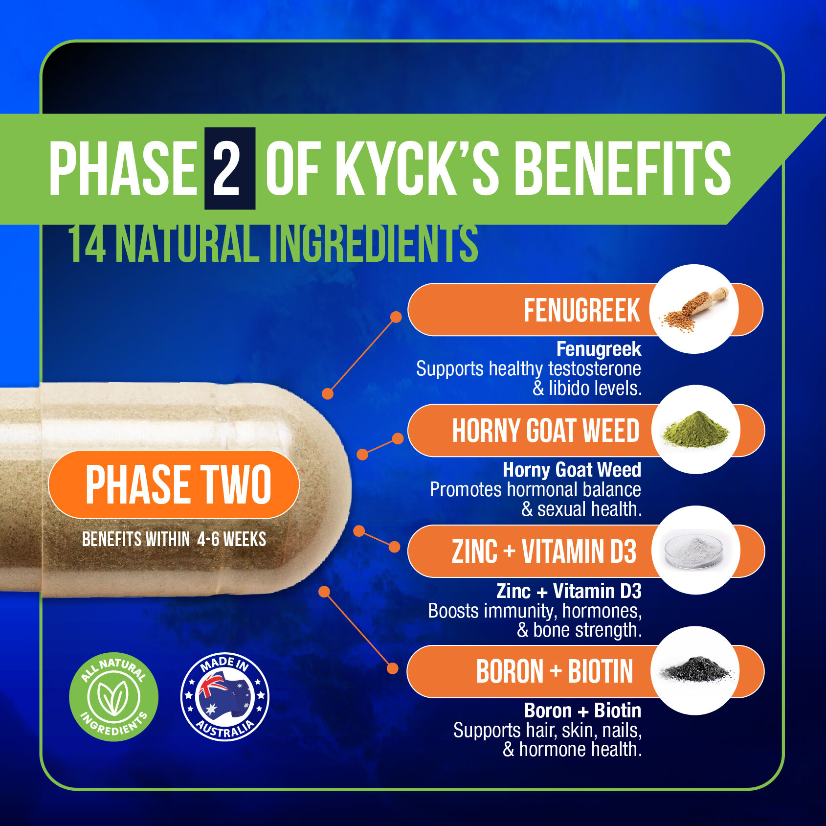 Phase 2 benefits of Kyck
